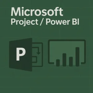 Microsoft Project / Power BI